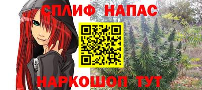 шишки Коммунар